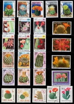 50 KOMADA različitih marki Cactaceae od Word, bez ponavljanja, pravi i originalni, koristi se s poštanskom markom